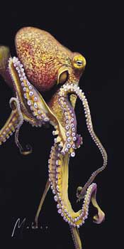 Alien by Shawn Mackey - Art at Ocean Blue Galleries