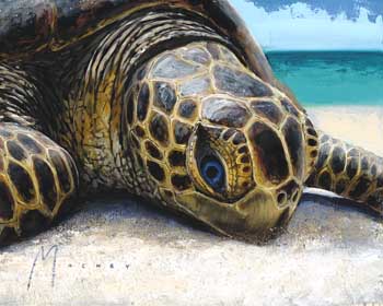 Little Sunbather by Shawn Mackey - Art at Ocean Blue Galleries