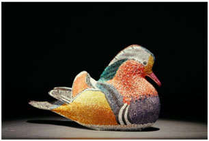 Mandarin Duck by Clarity Brinkerhoff at Ocean Blue Galleries