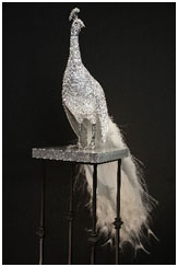 Peacock Albino by Clarita Brinkerhoff at Ocean Blue Galleries Peacock Albino by Clarita Brinkerhoff at Ocean Blue Galleries