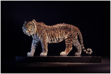 Royal Bengal Tiger by Clarita Brinkerhoff at Ocean Blue Galleries