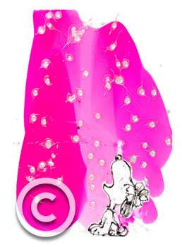 Sing it Sister Morning by Tom Everhart