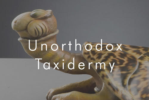 Unorthodox Taxidermy by Dr. Seuss at Ocean Blue Galleries