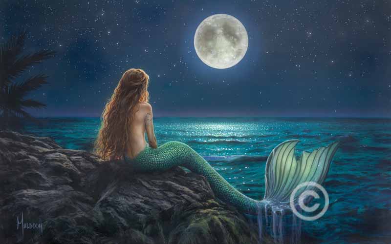 Stargazing 30x48 by Stephen Muldoon